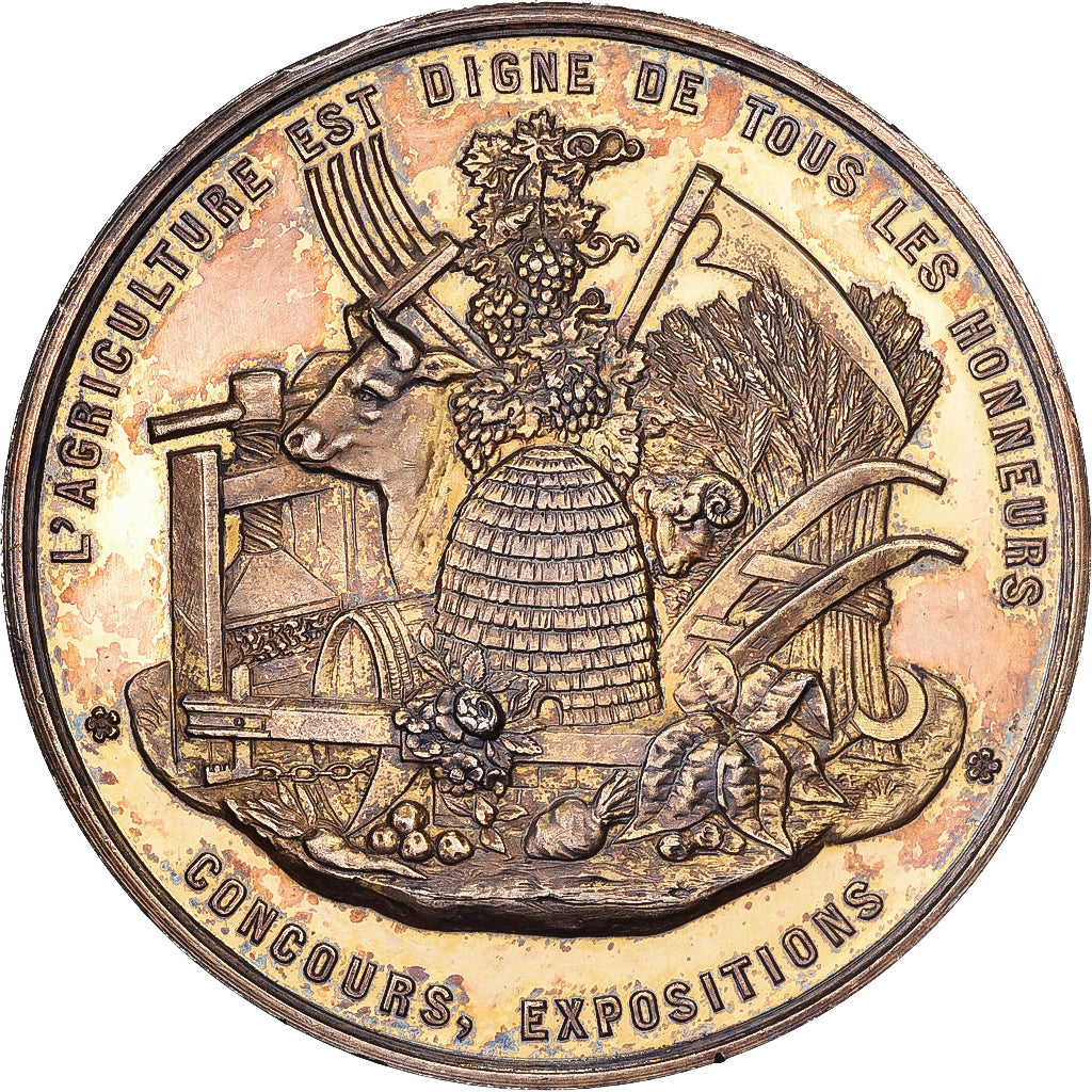 France, Médaille, Comice Agricole des Sables d'Olonne, 1878, Vermeil, SUP