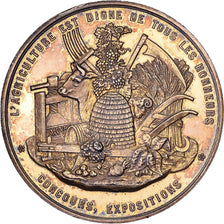 France, Médaille, Comice Agricole des Sables d'Olonne, 1878, Vermeil, SUP