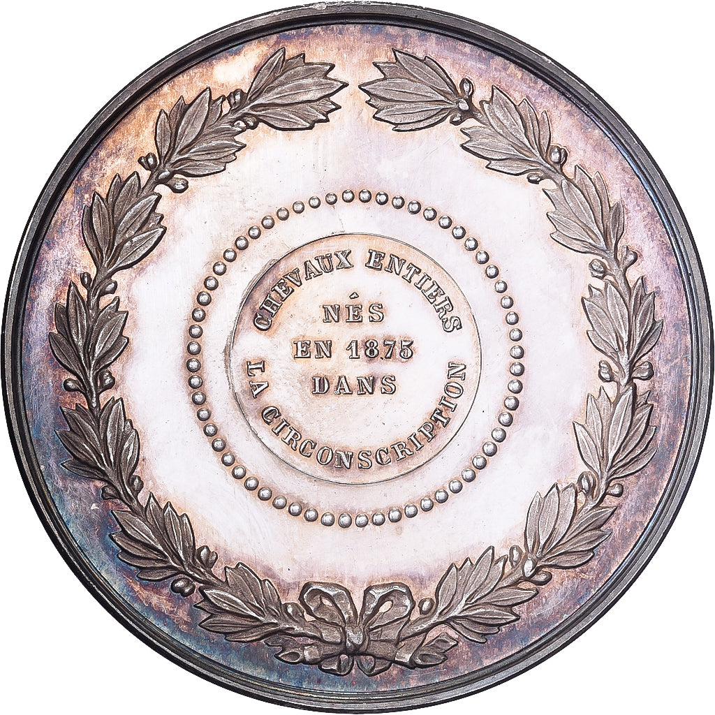 Francja, medal, Société Hippique Française, Concours Ouest-Nantes, 1878
