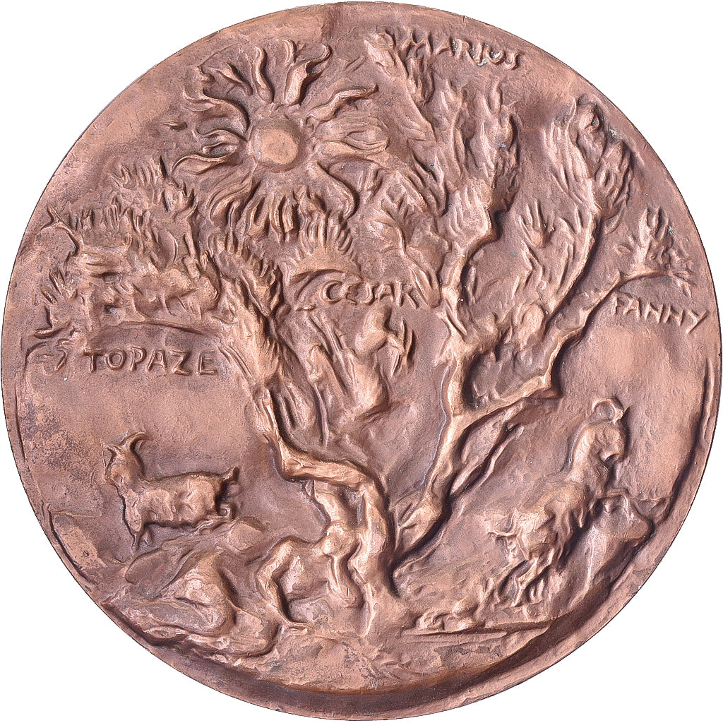 France, Medal, Marcel Pagnol, Académie Française, 1975, Copper, Corbin