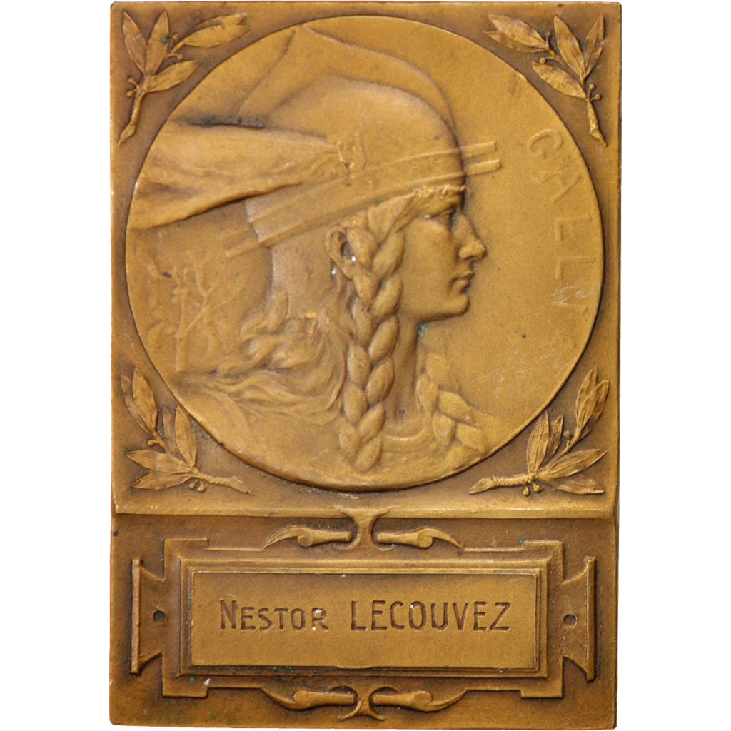 France, Medal, French Fifth Republic, Politics, Society, War, AU(50-53), Bronze