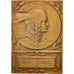 France, Medal, French Fifth Republic, Politics, Society, War, AU(50-53), Bronze