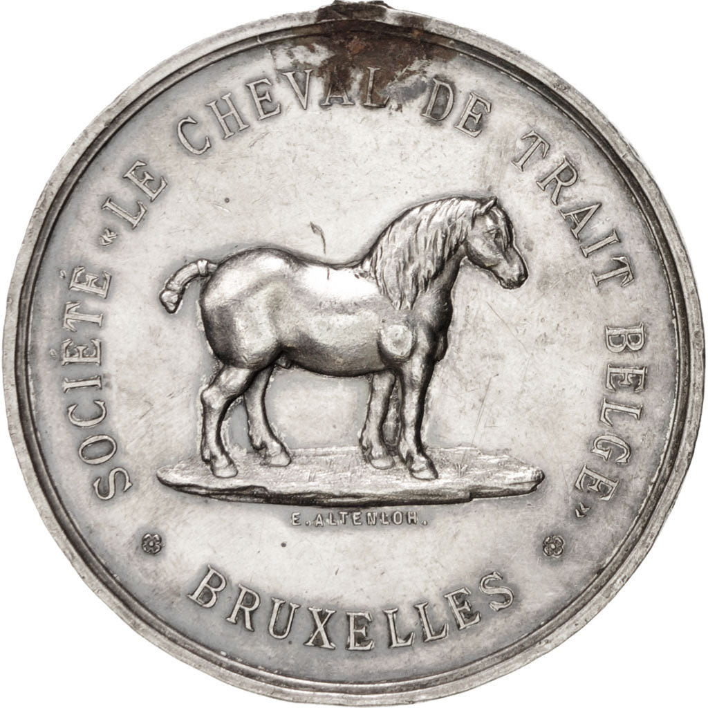 Belgium, Medal, Sports & leisure, EF(40-45), Silver