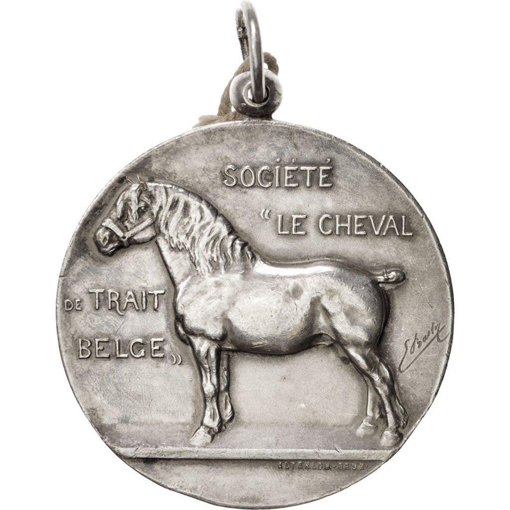 Belgique, Medal, Sports & leisure, TTB+, Argent