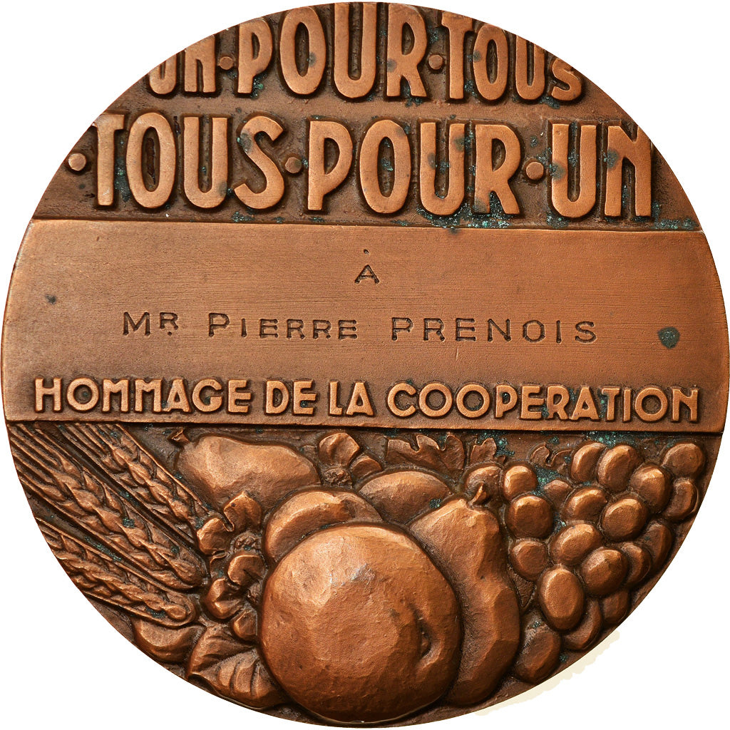 France, Médaille, Art Déco, Hommage de la Coopération, Bronze, SUP, Pelletier
