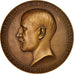Francia, medaglia, Octave Homberg, Echec aux législatives, 1928, Bronzo