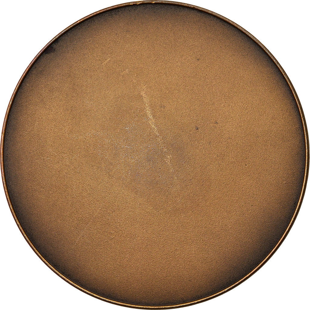 Frankreich, Medaille, Ville de Dieppe, VZ, Bronze