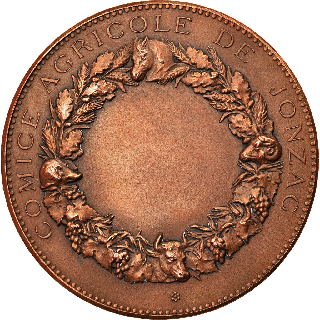 France, Médaille, Comice Agricole de Jonzac, Charente Maritime, Dubois.H, SPL