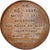 Frankrijk, Medal, Philippe V le Long, History, XIXth Century, FDC, Koper