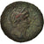 Coin, Domitian, As, 76-77, Antioch, VF(30-35), Copper
