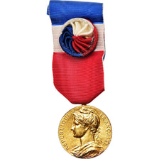 Francia, Médaille d'honneur du travail, medaglia, 1985, Eccellente qualità