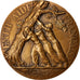 Frankrijk, Medal, Entr'aide Française, Politics, Society, War, PR, Bronze