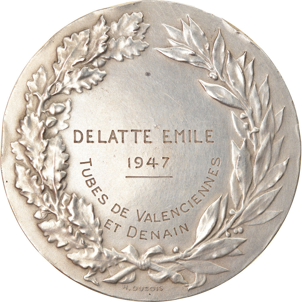 Francia, medaglia, Tubes de Valenciennes et de Denain, Business & industry