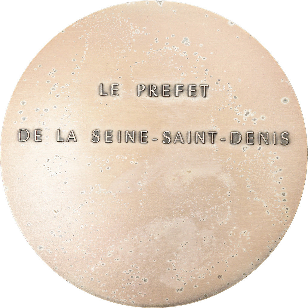 France, Medal, Département de la Seine Saint-Denis, 1974, Louis, AU(55-58)