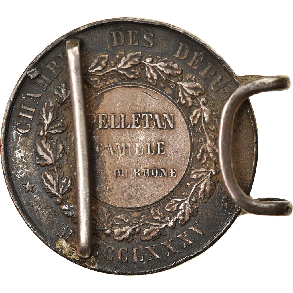 France, Medal, Camille Pelletan, 1885, Silver, Gayrard, EF(40-45)