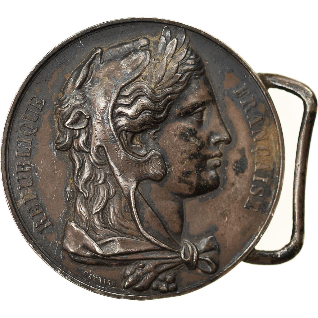 France, Médaille, Camille Pelletan, 1881, Argent, Gayrard, TTB