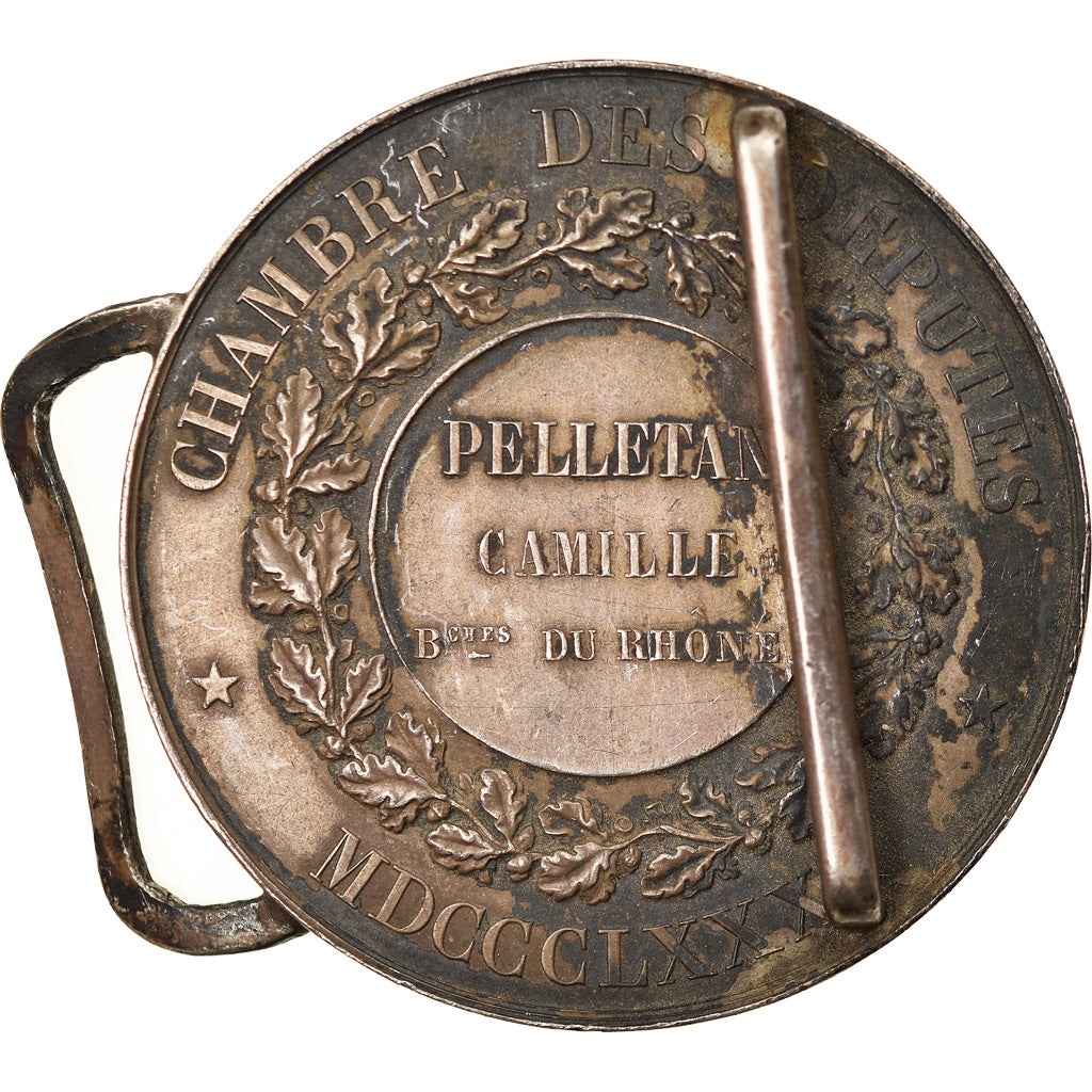 France, Médaille, Camille Pelletan, 1881, Argent, Gayrard, TTB