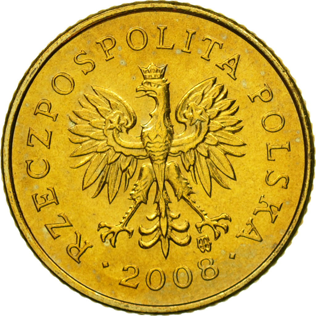 Monnaie, Pologne, Grosz, 2008, Warsaw, FDC, Laiton, KM:276