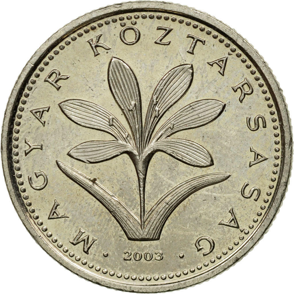 Coin, Hungary, 2 Forint, 2003, AU(55-58), Copper-nickel, KM:693