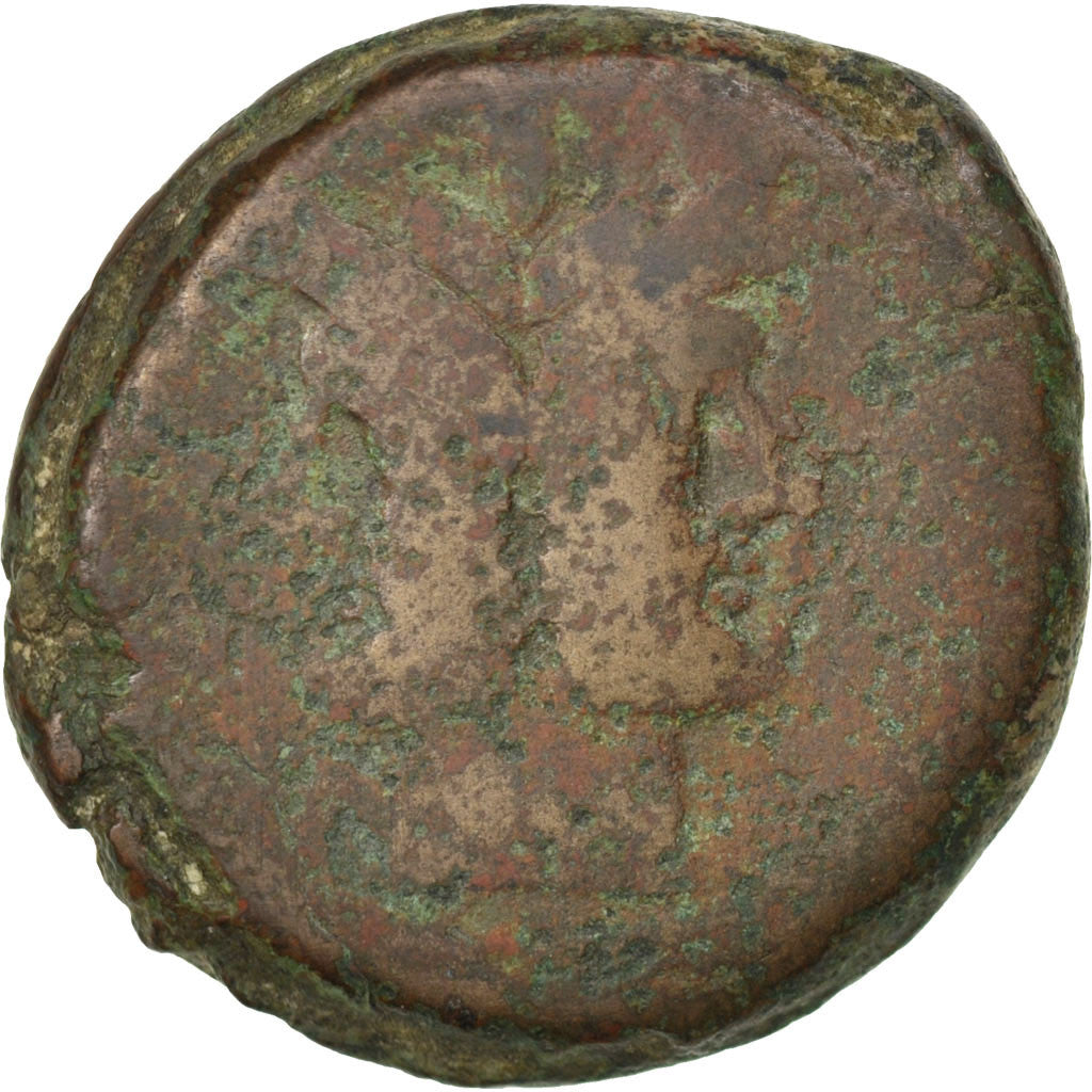 Coin, Janus, As, F(12-15), Bronze
