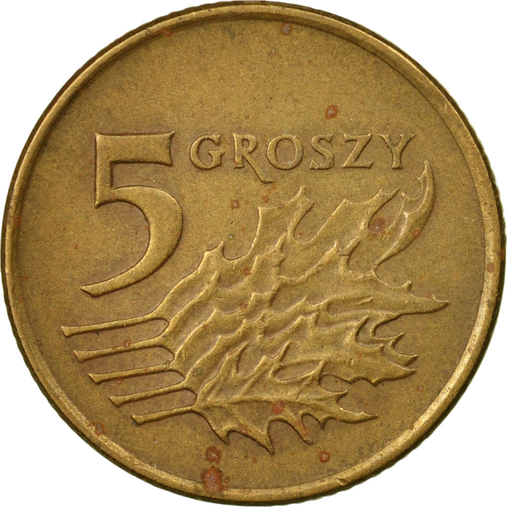 Moneda, Polonia, 5 Groszy, 1992, Warsaw, MBC, Latón, KM:278