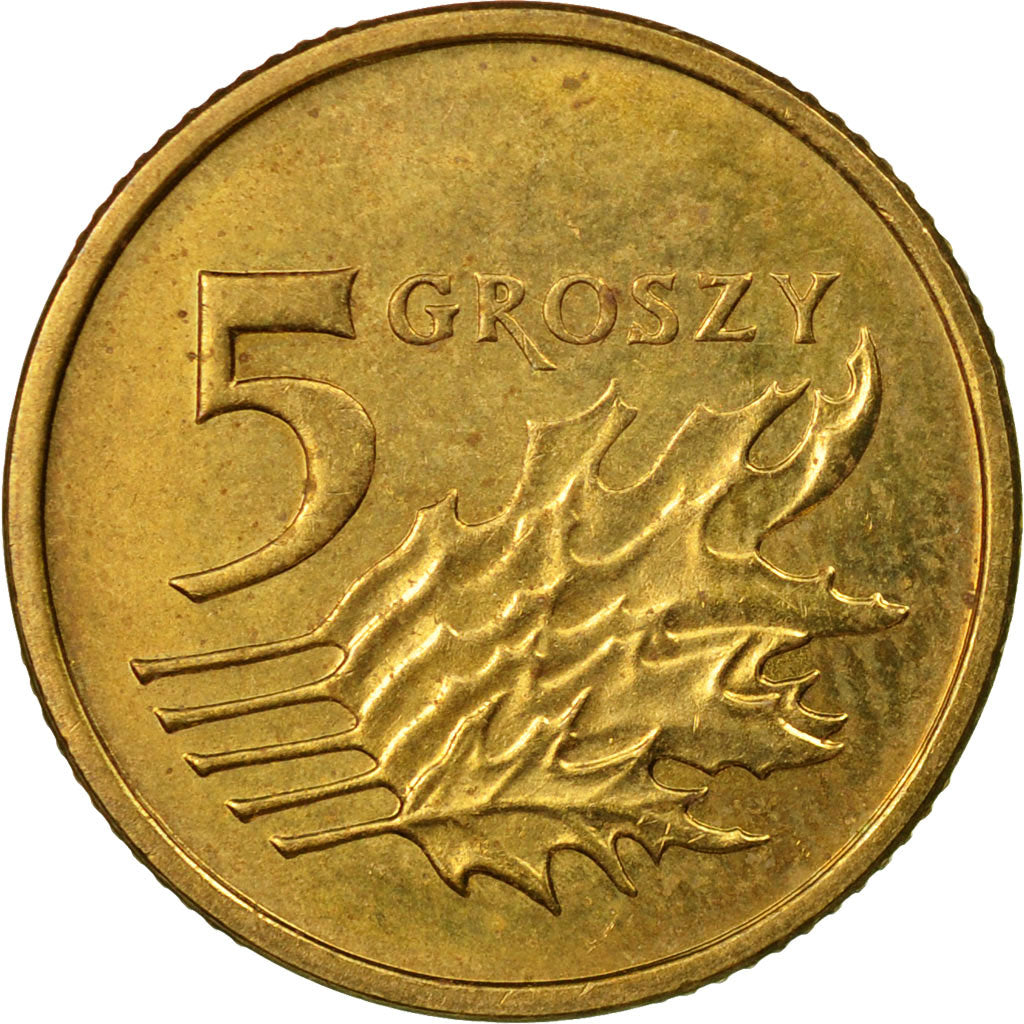 Coin, Poland, 5 Groszy, 2003, Warsaw, EF(40-45), Brass, KM:278