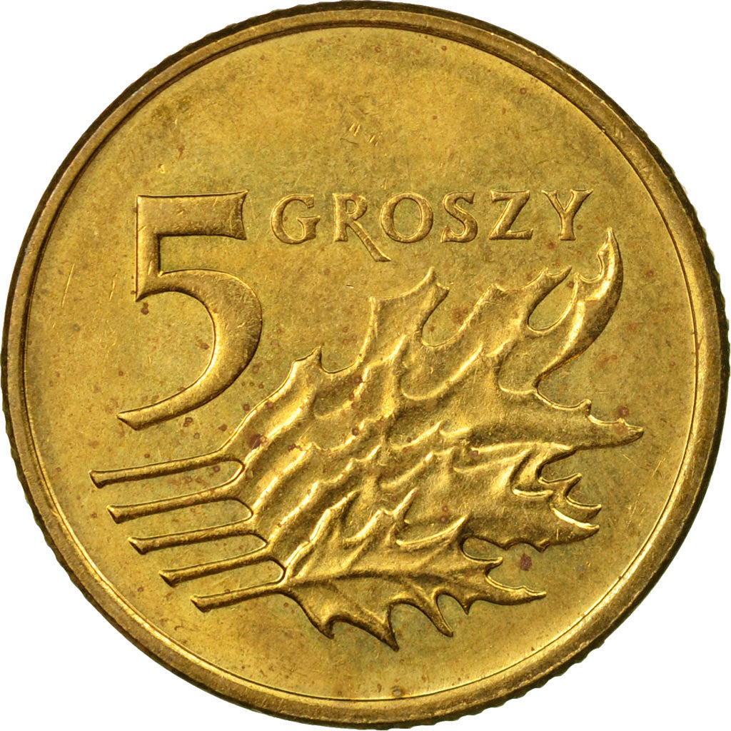Monnaie, Pologne, 5 Groszy, 2004, Warsaw, TTB, Laiton, KM:278