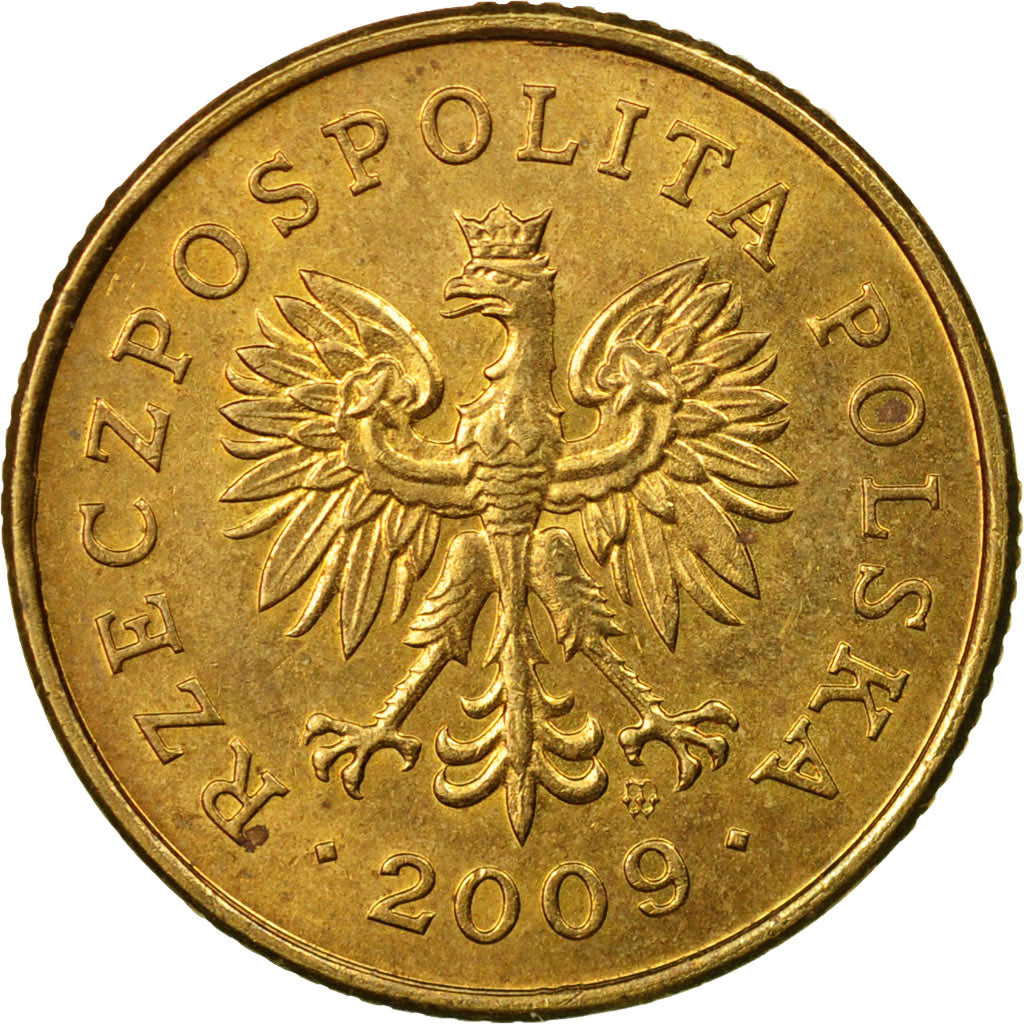 Moneda, Polonia, 5 Groszy, 2009, Warsaw, MBC, Latón, KM:278