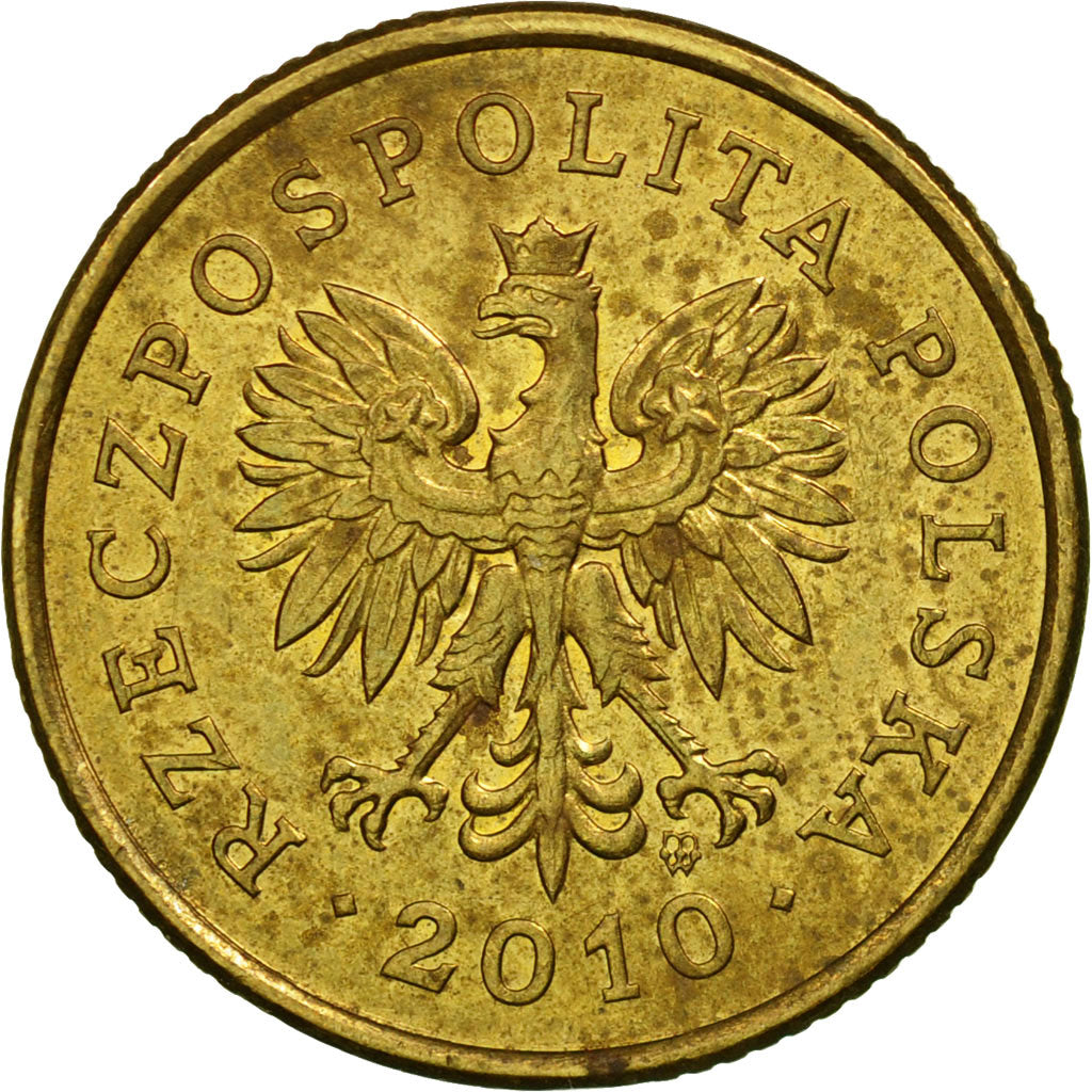 Moneda, Polonia, 5 Groszy, 2010, Warsaw, MBC, Latón, KM:278