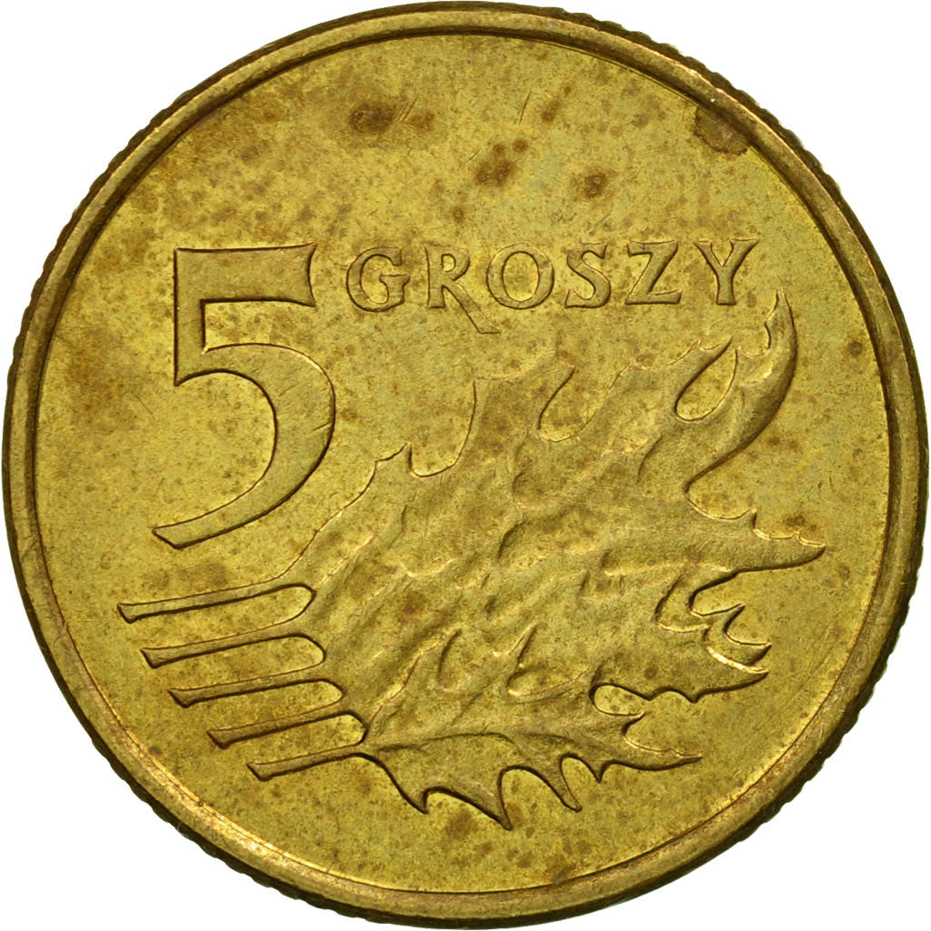 Moneda, Polonia, 5 Groszy, 2010, Warsaw, MBC, Latón, KM:278