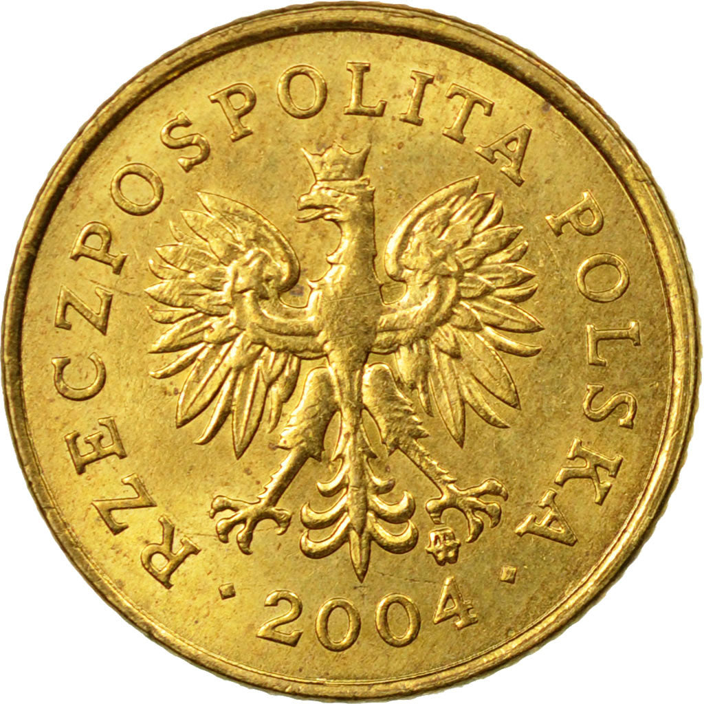 Coin, Poland, Grosz, 2004, Warsaw, EF(40-45), Brass, KM:276
