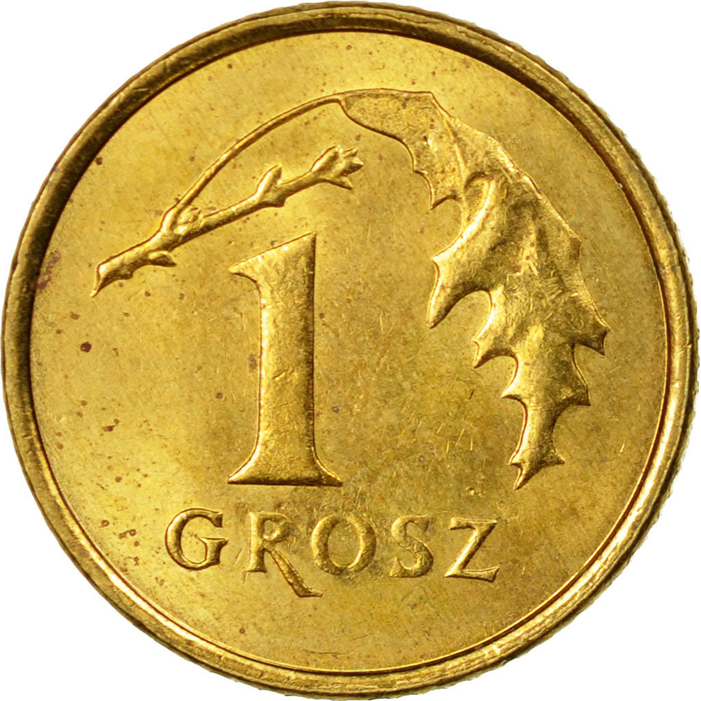 Coin, Poland, Grosz, 2004, Warsaw, EF(40-45), Brass, KM:276