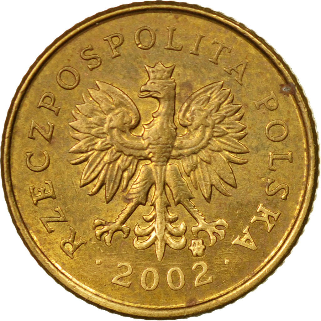 Coin, Poland, Grosz, 2002, Warsaw, EF(40-45), Brass, KM:276
