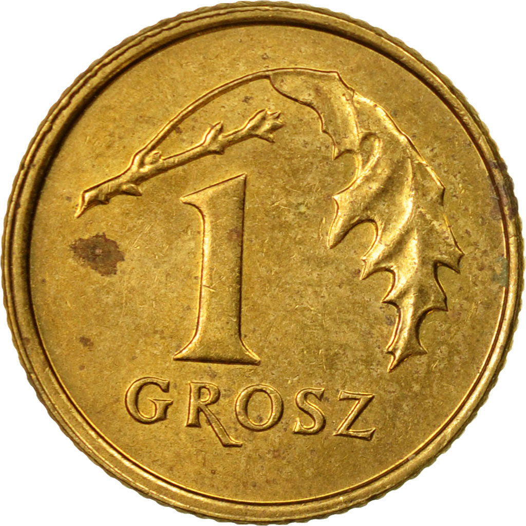 Coin, Poland, Grosz, 2007, Warsaw, EF(40-45), Brass, KM:276