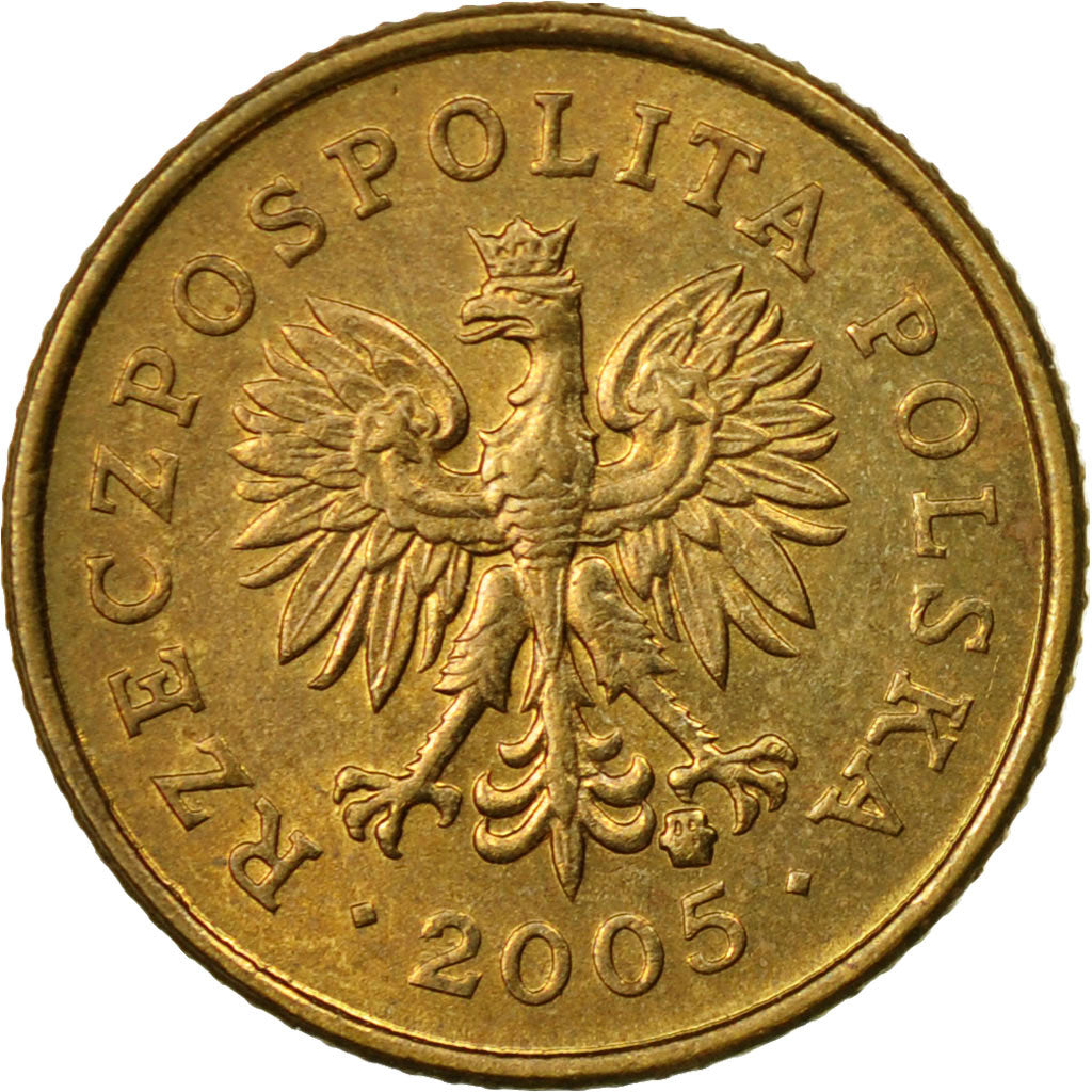 Coin, Poland, Grosz, 2005, Warsaw, EF(40-45), Brass, KM:276