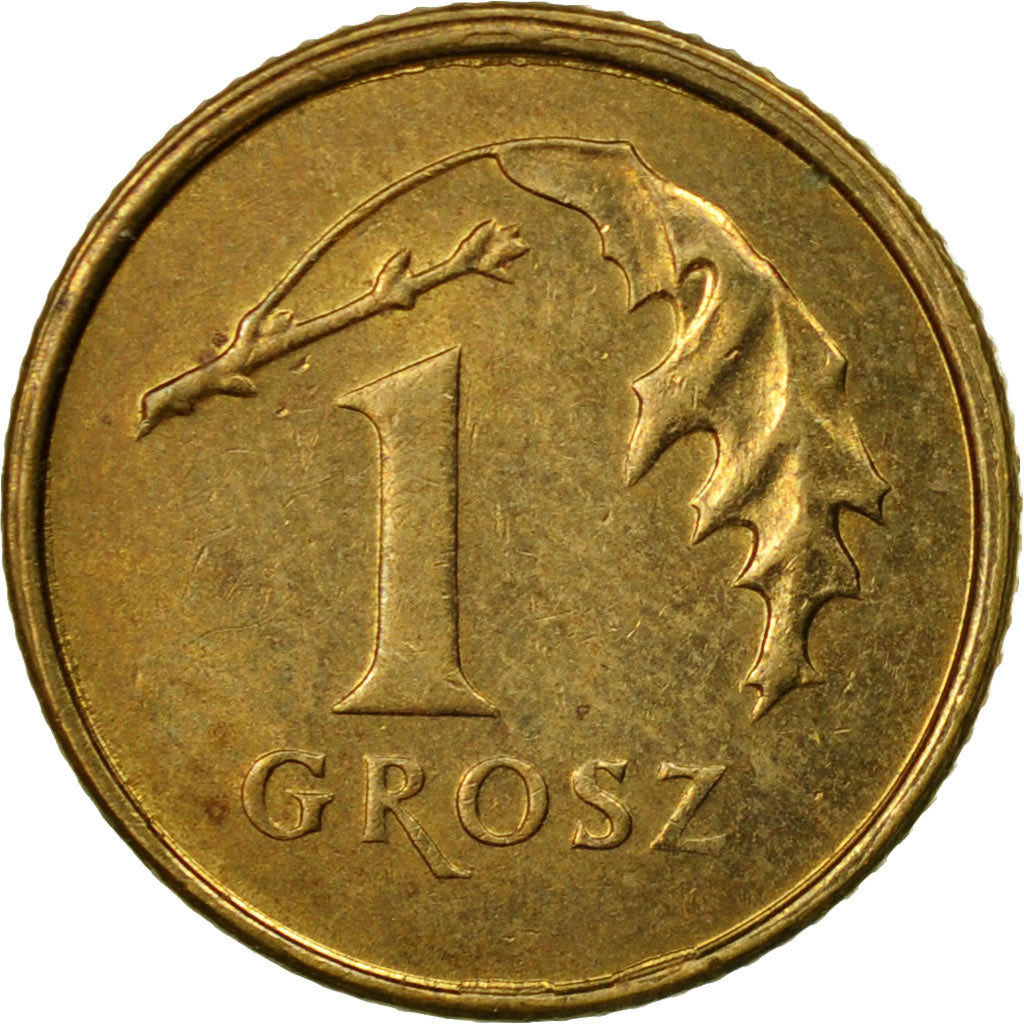 Coin, Poland, Grosz, 2005, Warsaw, EF(40-45), Brass, KM:276