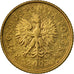 Coin, Poland, Grosz, 2003, Warsaw, EF(40-45), Brass, KM:276