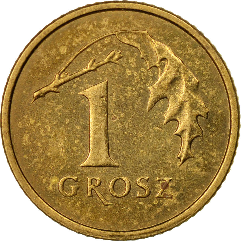 Coin, Poland, Grosz, 2003, Warsaw, EF(40-45), Brass, KM:276