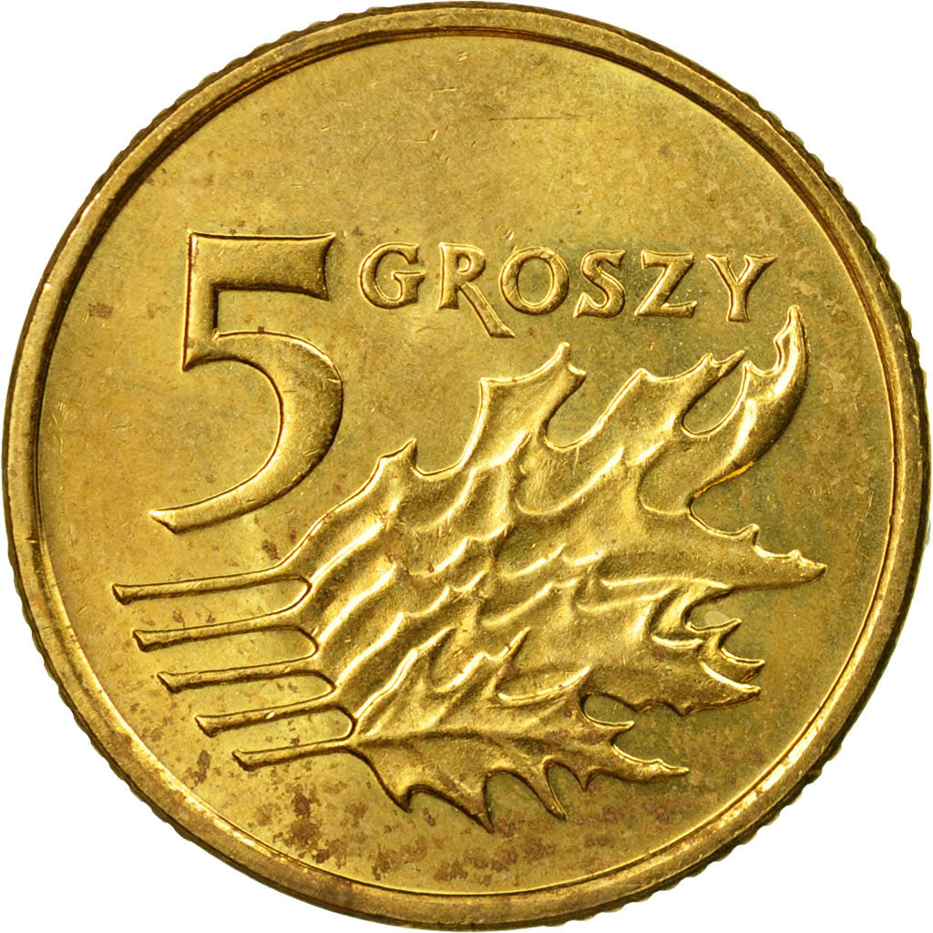Coin, Poland, 5 Groszy, 2011, Warsaw, EF(40-45), Brass, KM:278