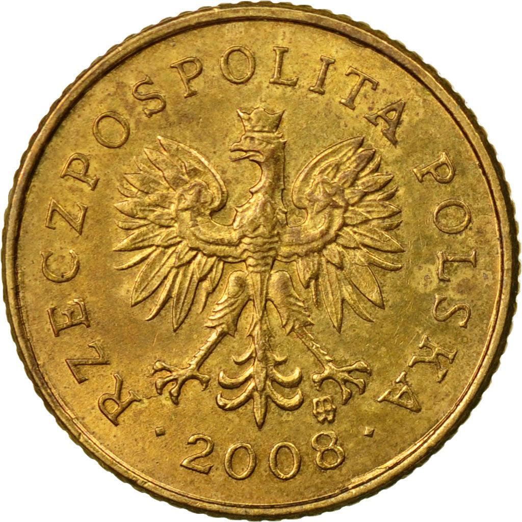 Coin, Poland, Grosz, 2008, Warsaw, EF(40-45), Brass, KM:276