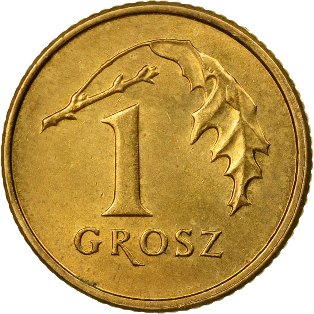 Coin, Poland, Grosz, 2008, Warsaw, EF(40-45), Brass, KM:276