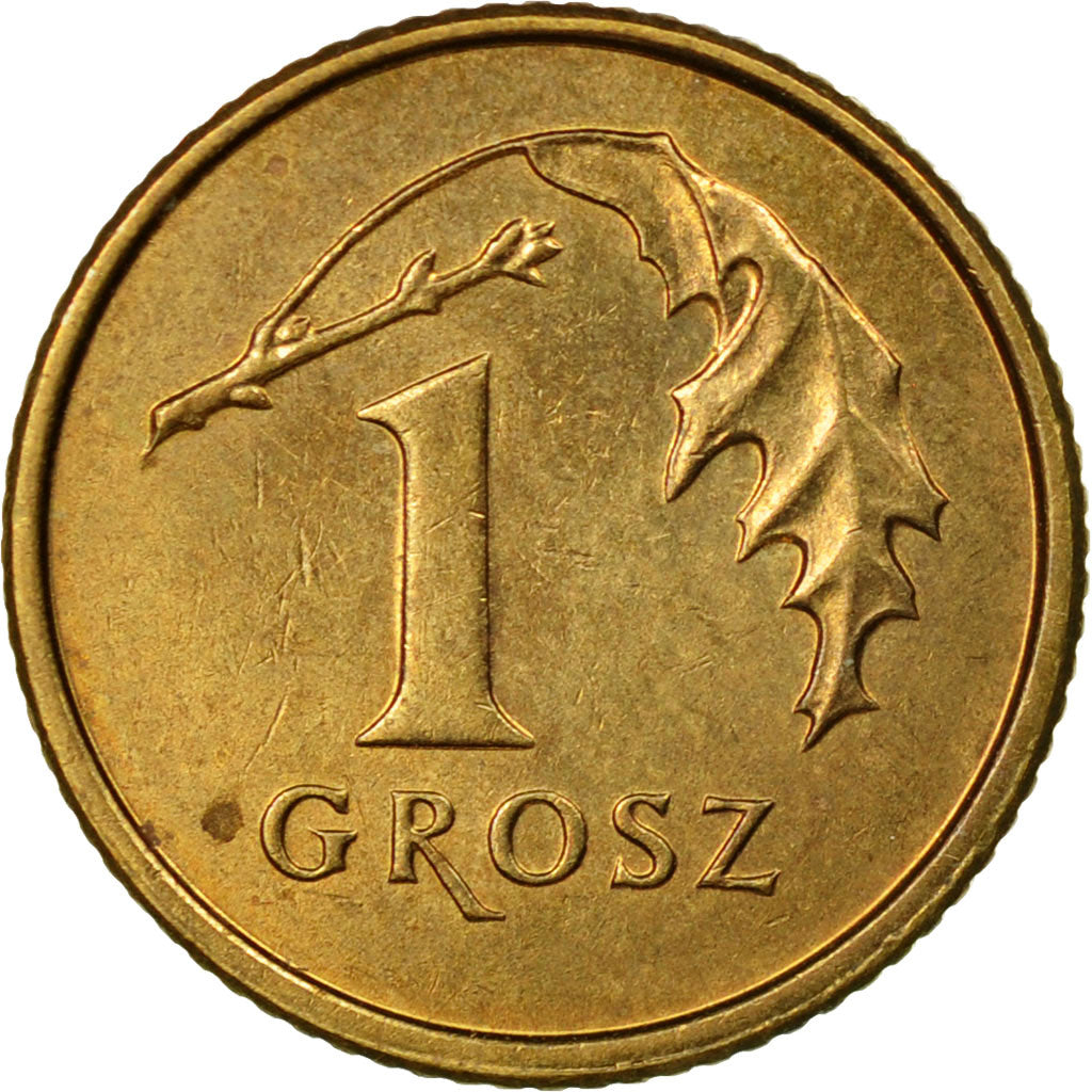 Coin, Poland, Grosz, 2010, Warsaw, EF(40-45), Brass, KM:276