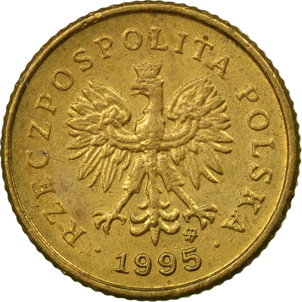 Moneda, Polonia, Grosz, 1995, Warsaw, MBC, Latón, KM:276