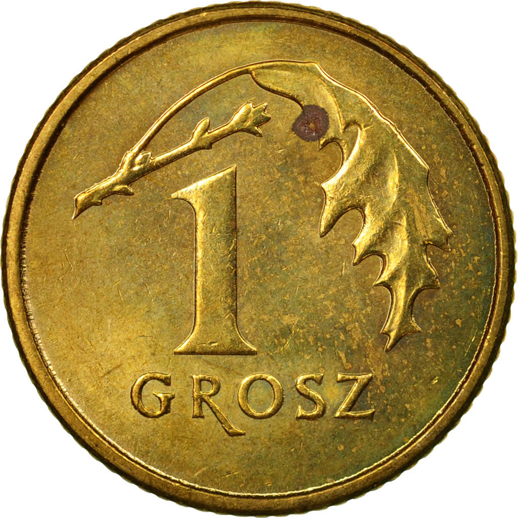 Coin, Poland, Grosz, 2011, Warsaw, EF(40-45), Brass, KM:276