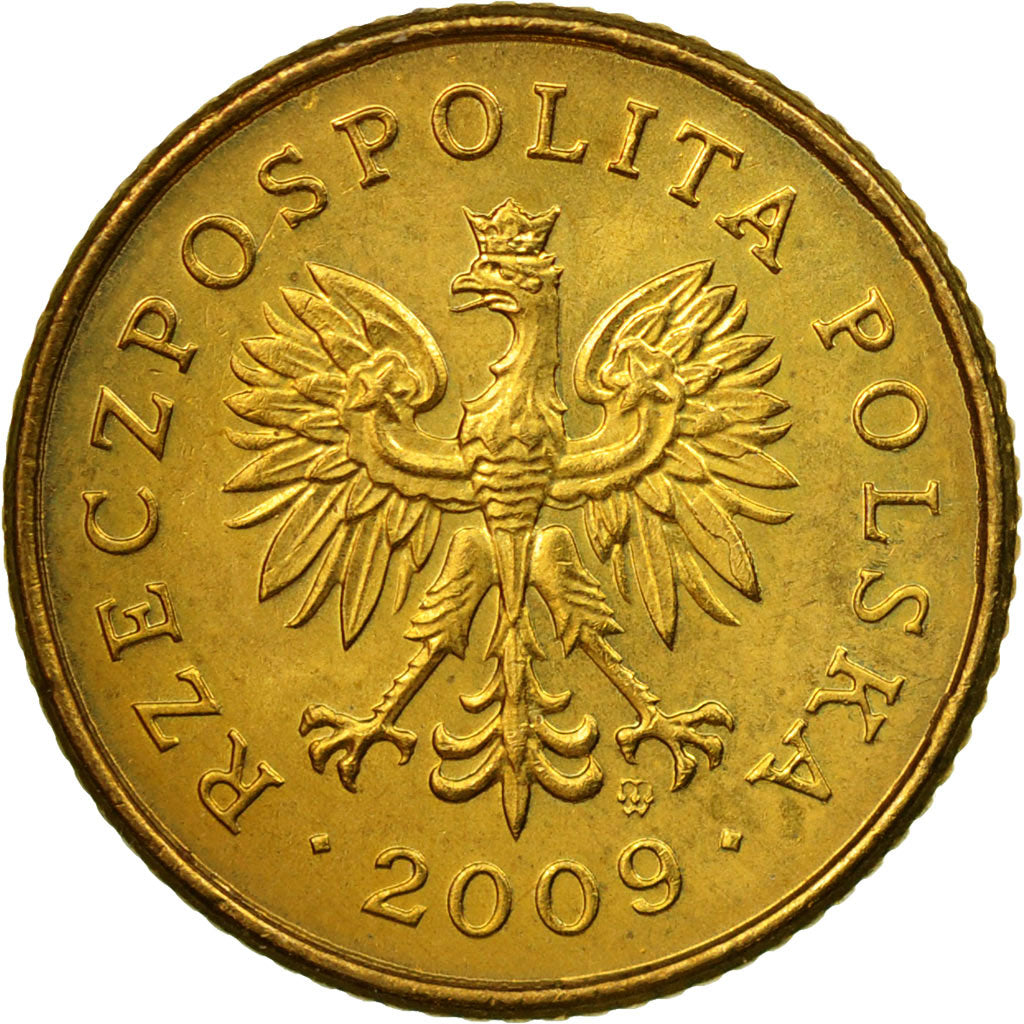 Coin, Poland, Grosz, 2009, Warsaw, EF(40-45), Brass, KM:276