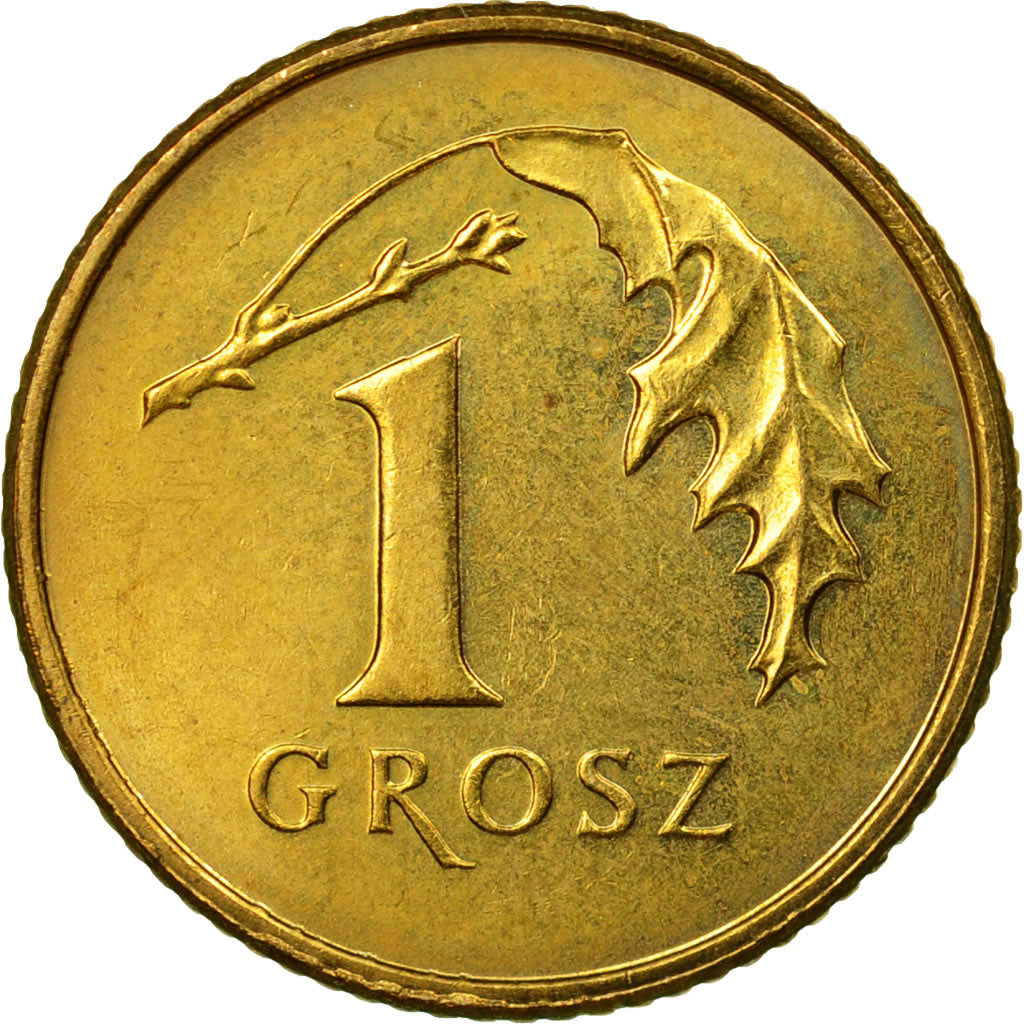 Coin, Poland, Grosz, 2009, Warsaw, EF(40-45), Brass, KM:276