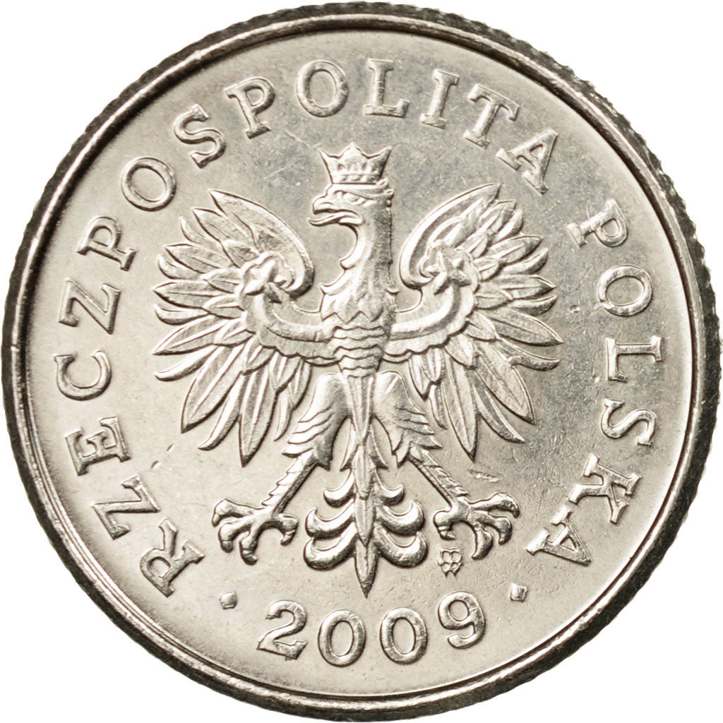 Coin, Poland, 50 Groszy, 2009, Warsaw, EF(40-45), Copper-nickel, KM:281