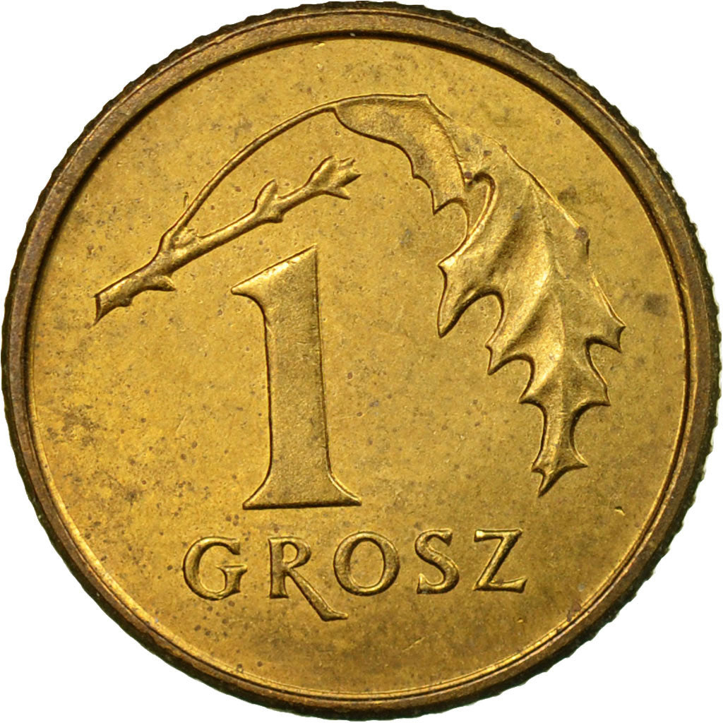 Coin, Poland, Grosz, 1998, Warsaw, EF(40-45), Brass, KM:276
