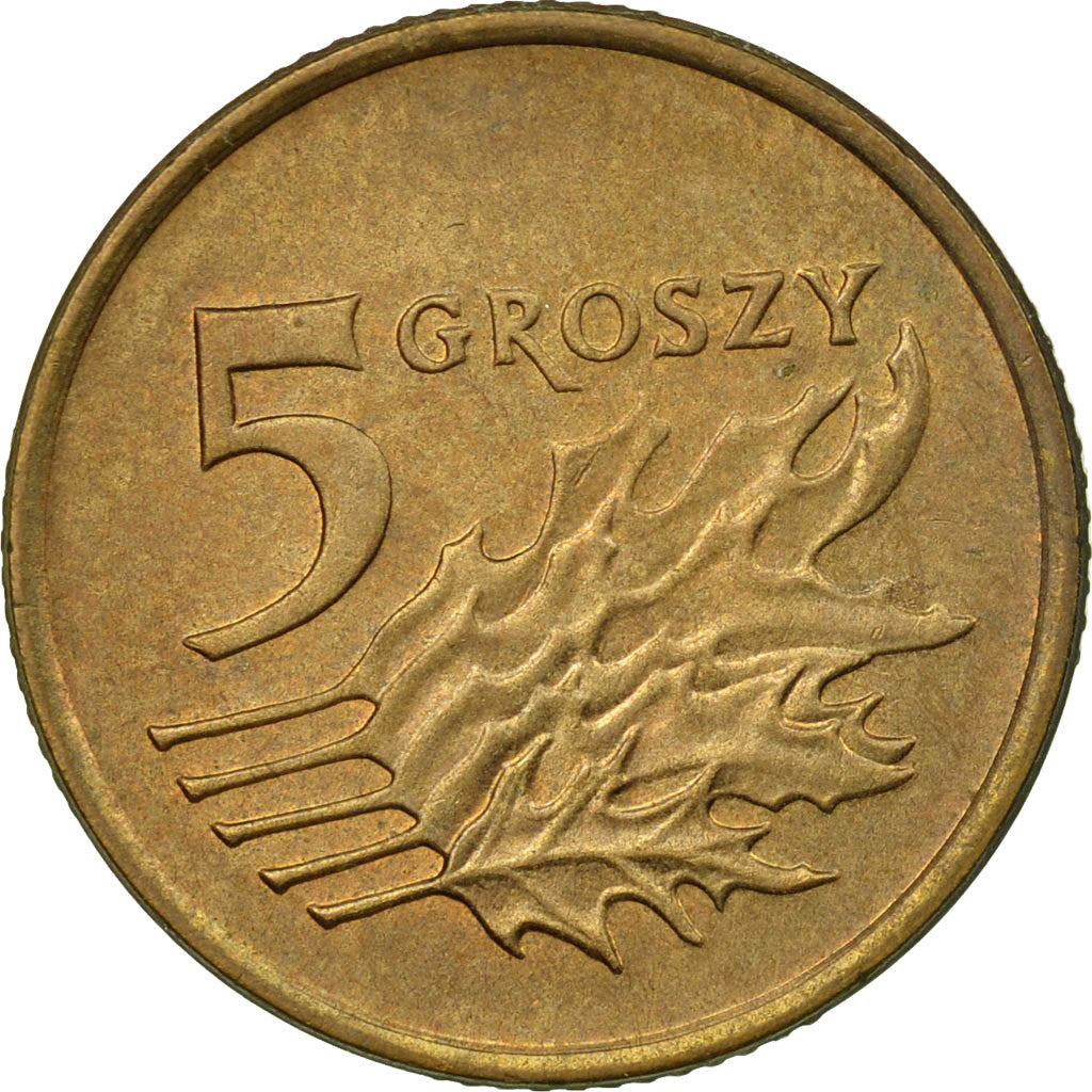 Coin, Poland, 5 Groszy, 1991, Warsaw, EF(40-45), Brass, KM:278
