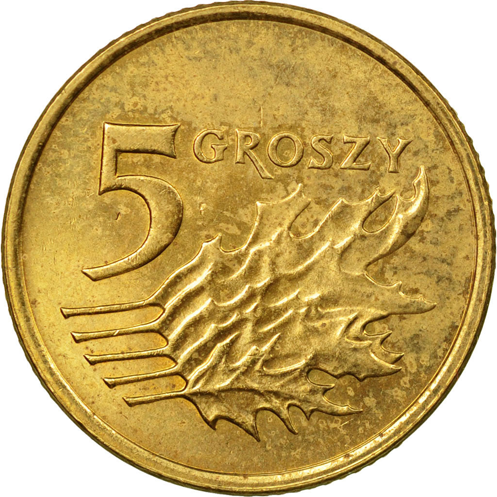 Coin, Poland, 5 Groszy, 2008, Warsaw, EF(40-45), Brass, KM:278